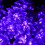 Φωτιστικά Sloar Flower String, LED Lotus Fairy Lights Αδιάβροχα Χριστουγεννιάτικα Φώτα Λουλουδιών 6