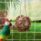 Boules de nidification sphériques en bois et coton, composées de 3 pièces 5