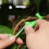 Limb Spreaders, 25pcs Fruit Tree Branch Spreader New Branch Spreader Puller for Shaping,Plant Branches Bender Tool 3