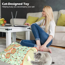 Cat Tunnel Bag for Indoor Cats, Crinkle Bag Toy Cat & Hamsters Tunnel Toy, Pet Foldable Tunnel Crinkle Sack Bag