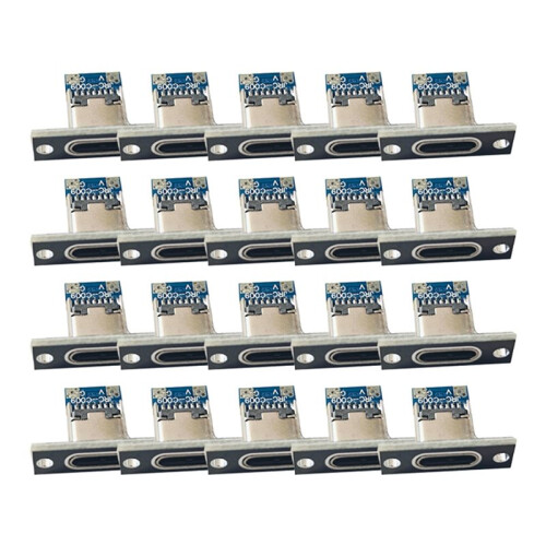 20Pcs USB Jack 3.1 Type-C 2Pin Female Connector Jack Data Charging Port Small Electrical Charging Base with Fixing Plate