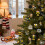 Iowa Hawkeyes Adventskalender (24 Stück) 4
