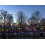 Solcellsdriven LED-lampa utomhusbröllopsdekoration till jul. 6