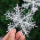 Glitter Snowflake Ornaments Set Silver 3 pcs 8