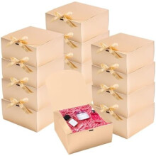 12 Kraft-lahjarasiaa kansilla ja nauhalla, 20x20x10cm