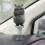 Χαριτωμένο D-Shy Kitty Bobblehead – 2D Επίπεδο Ακρυλικό Ταμπλό Αυτοκινήτου & Διακόσμηση 3