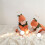 Baby Halloween pompoen romper met mutsje, 1 stuk 6