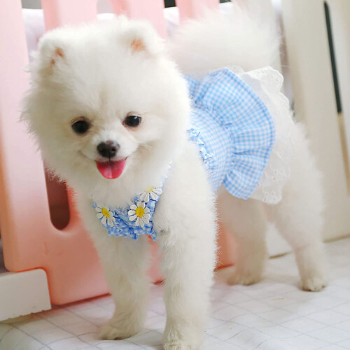 Vestido xadrez para cães pequenos e filhotes (1 peça) 1
