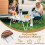 Mesa de camping com tampo impermeável e bolsa de transporte - Prata 4
