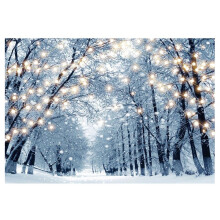 210X150Cm Winter Snow Background Cloth Snowflake Christmas Tree Glitter White Forest Party Photography Backdrops, D