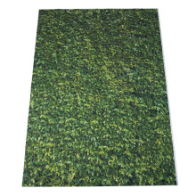 5X7Ft (150X210Cm) Natur Gruenes Gras Kulissen Fotografie Hochzeit Oder Kinder Geburtstag Hintergrund