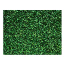 Vinyl Green Leave Photography Backdrops Birthday Background for Birthday Photo Booth Prop Decoration
