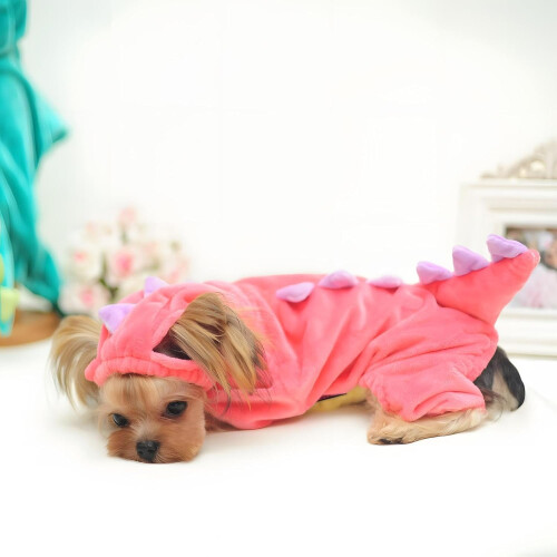 Dinosaur-kostume til mellemstore og store hunde 2