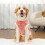 Hundepullover Winter Warm Rosa XL 4