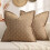 Ensemble de 2 housses de coussin en polyester 22x22 pouces avec bords à volants 1