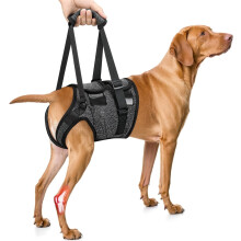 Ginocchiera per cani con legamento crociato anteriore lesionato, tutore regolabile per la zampa posteriore del cane, tutore per displasia dell'anca