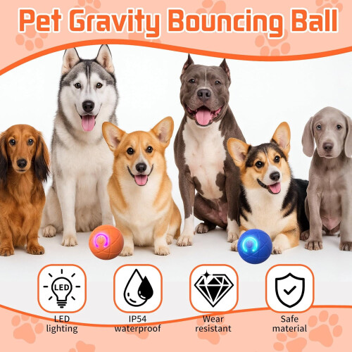 Pelota de juguete interactiva para perros – Rueda automática LED USB 2