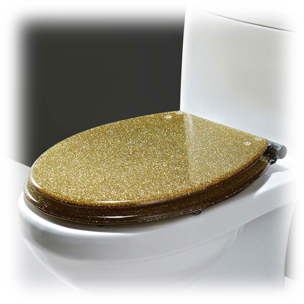 Glitter Toilet Seat With Soft Close Quick Release, 360 Adjustable Stainless Steel Hinges For Bathroom Decor Ref: 2559 9169991186429