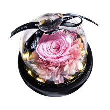 Preserved Real Rose with LED Light – Eternal Flower Gift for Mom, Grandma, Wife – Compatible with All Occasions