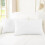 Housses de coussin en chenille 45 x 45 cm (lot de 2) 1