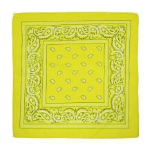 1 Stück Mehrzweck-Bandanas, Paisley-Cowboy-Stirnbänder aus Polyester, 22 x 22 Zoll
