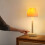 Oplaadbare waterdichte doucheprojectorlamp – 16 kleuren 4