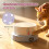 Θερμαινόμενο μπολ νερού για γάτες και σκύλους, ρυθμίσεις 3 θερμοκρασιών, 3
