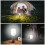 LED Work Light for  12V Li-Ion Battery E27 Light Bulb Socket Adapter Protable Flashlight Flood Light 5