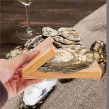 4X Oyster Shucking Opener Shucker Seafood Clamp Tool Holder Shellfish Hand Clam Shellcrab Sheller