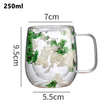 Tasse à thé en verre à double paroi avec de vraies fleurs, 250 ml