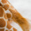 Riesengiraffe, großes Stofftier, Plüschgiraffe, 60 cm 5