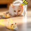 Interactive Auto-Moving Cat Toy Mouse with Furry Tail 6