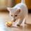 Interactive Auto-Moving Cat Toy Mouse with Furry Tail 3