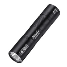 Mini-UV-Taschenlampe (365 nm), USB-aufladbar, Fluoreszenz-Detektionslampe