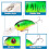 Opolski1Pc Crank3D Eyes Δόλωμα ψαρέματος με σκληρό δόλωμα, συμβατό με αγκίστρι Sharp Fish Hook Tackle 5