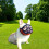 Short Snout Breathable Mesh Mouth Muzzle for Biting Full Mesh Orange S 7