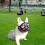 Short Snout Breathable Mesh Mouth Muzzle for Biting Full Mesh Orange S 3