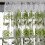 Green Peony Voile Curtain 200x100cm 5