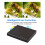 DVD με έξοδο AV, συσκευή αναπαραγωγής δίσκων CD DVD-225, οικιακή συσκευή αναπαραγωγής DVD, 5