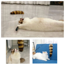 Plush Funny Cat Toy Retractable Handle