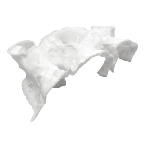 Decor de acvariuPeșteră tunel curbată naturală imprimată 3D pentru