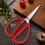 Stainless Steel Scissors 6.7 Inch Red Ergonomic Handle 4