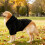 Hundepullover – Warmer, flauschiger Pullover, kuscheliger Winterpullover für Hunde (L) Schwarz 1 4