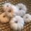 White Plastic Pumpkin Ornaments 12 Pack 4