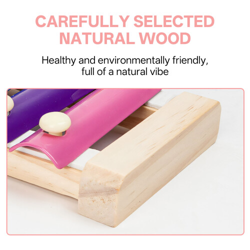 Xylophone Shape Sorting Blocks for Toddlers 1-3 Years 2