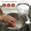 Copper Cleaning Pads Stainless Steel 8.5cm Non-Scratch 7