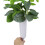 Conjunto de 4 cones florais comemorativos MOQIN de 7 polegadas – Suporte de vaso de plástico com estaca e furos de drenagem para cemitério, 4