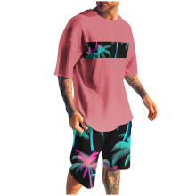 Conjunto de shorts masculino, 2 peças, gola redonda, estampa, esportivo, slim, cintura elástica, blusa de manga curta com gola redonda.