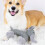 Squeaky Dog Chew Animals, 2026Νέοι Σύντροφοι Λινών για Σαφάρι, Ανθεκτικό Λινό Ύφασμα, για την 2