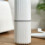 Travel Toothbrush Cup Case, Plastic, 20cm, White, Lightweight 8